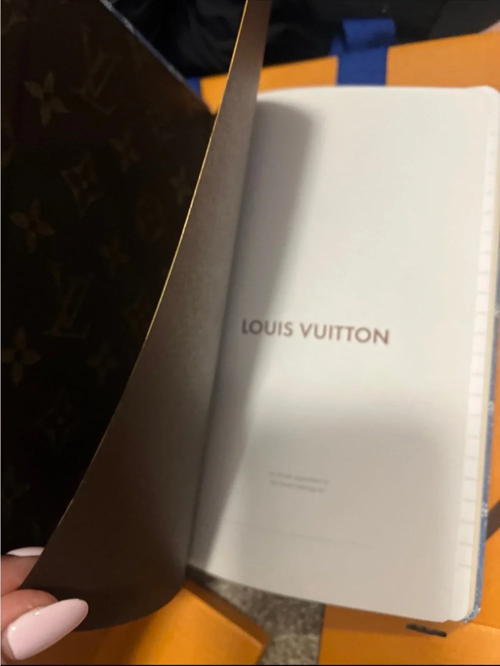 Louis Vuitton Denim Jane Notebook MM